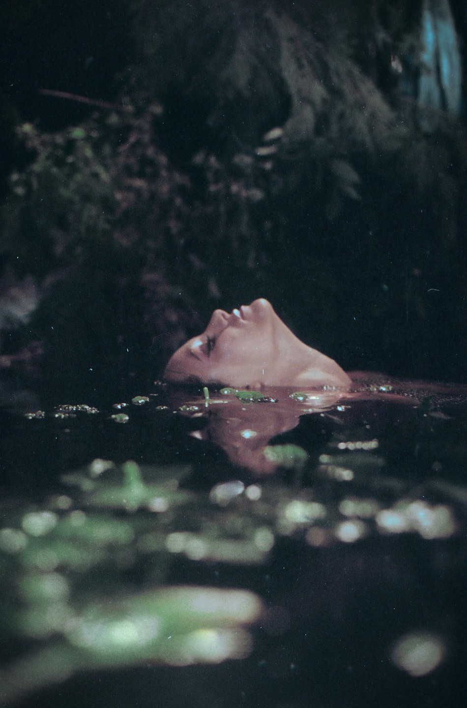 A woman's face is visible above the surface of dark water, surrounded by foliage.
