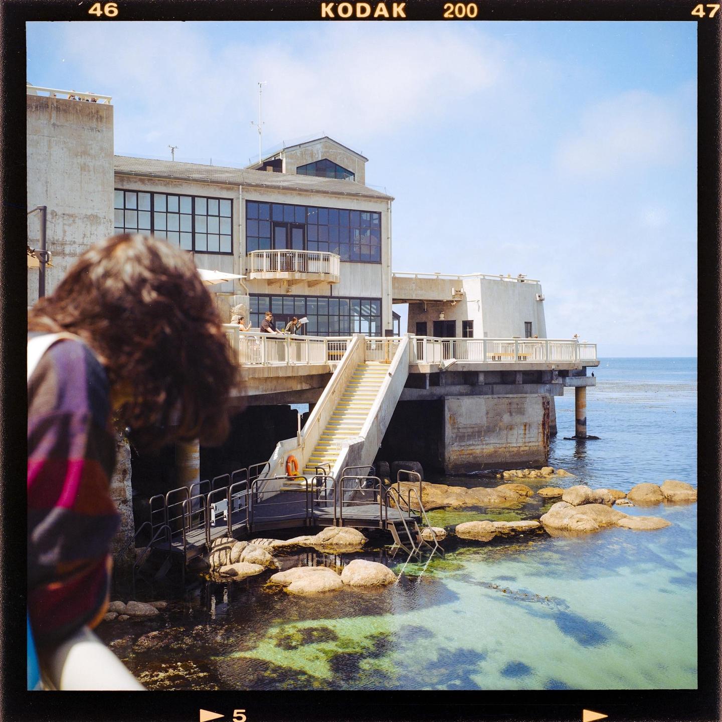 A person with long, dark hair stands in the foreground, looking out at a large building with multiple windows and balconies, situated over clear ocean water with visible rocks and seaweed.