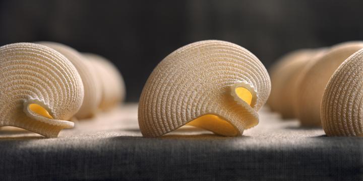 Several pieces of lumaconi pasta are arranged in a row on a textured surface.