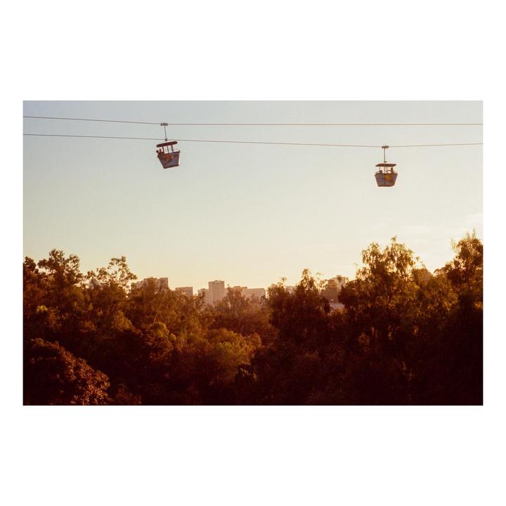 Two cable car gondolas are suspended above a forest with a city skyline in the distance during golden hour.