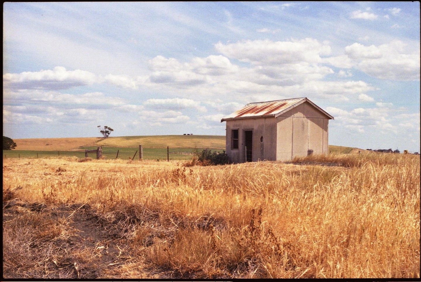 A small abandoned building with a rusty roof stands in a field of dry grass under a cloudy sky.