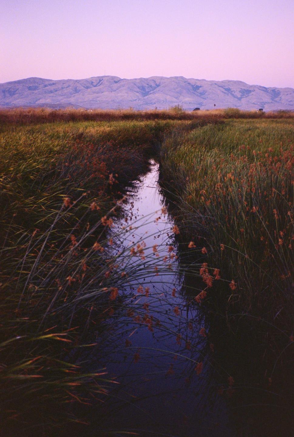 A narrow stream flows through a marsh with mountains in the background under a purple sky.