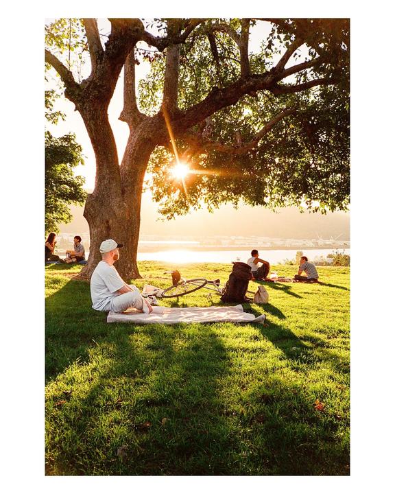 A group of people are relaxing on a grassy hill under a large tree during golden hour, with a body of water and a city in the background.