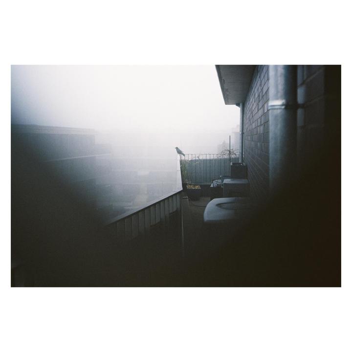 A bird stands on a balcony railing overlooking a hazy urban landscape.