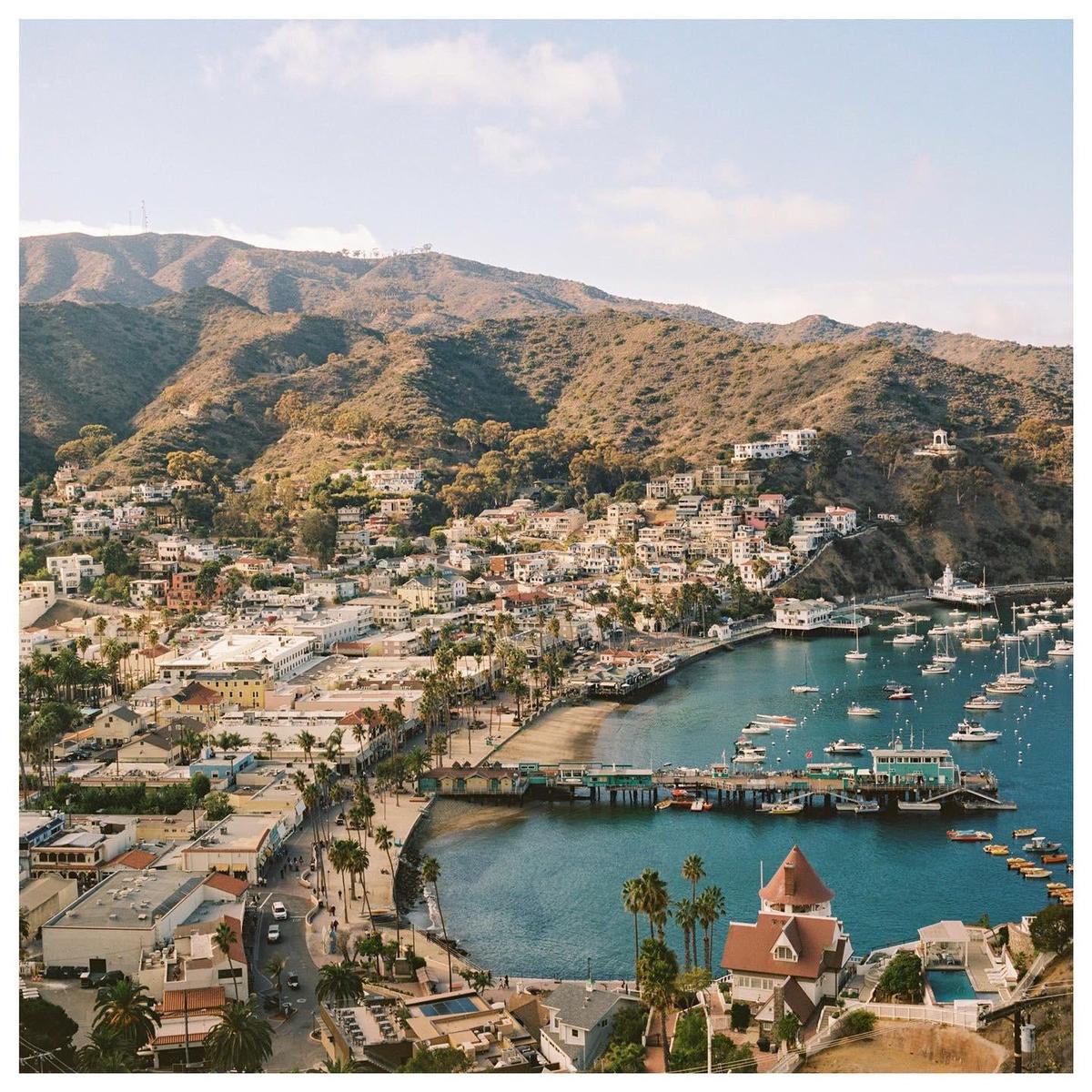 A town with many buildings and palm trees sits on a bay with numerous boats, backed by a large mountain.