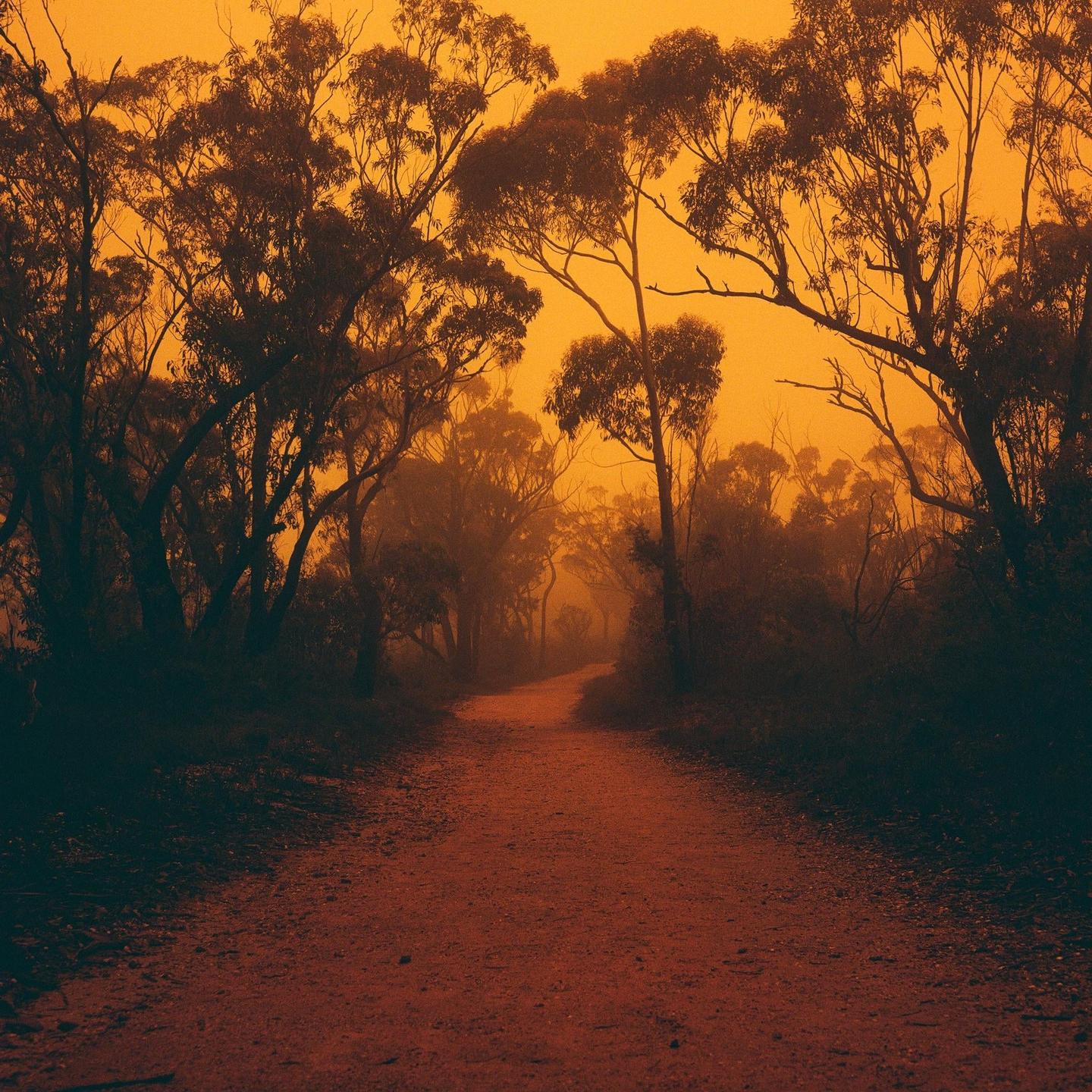 A dirt path winds through a forest with an orange sky.