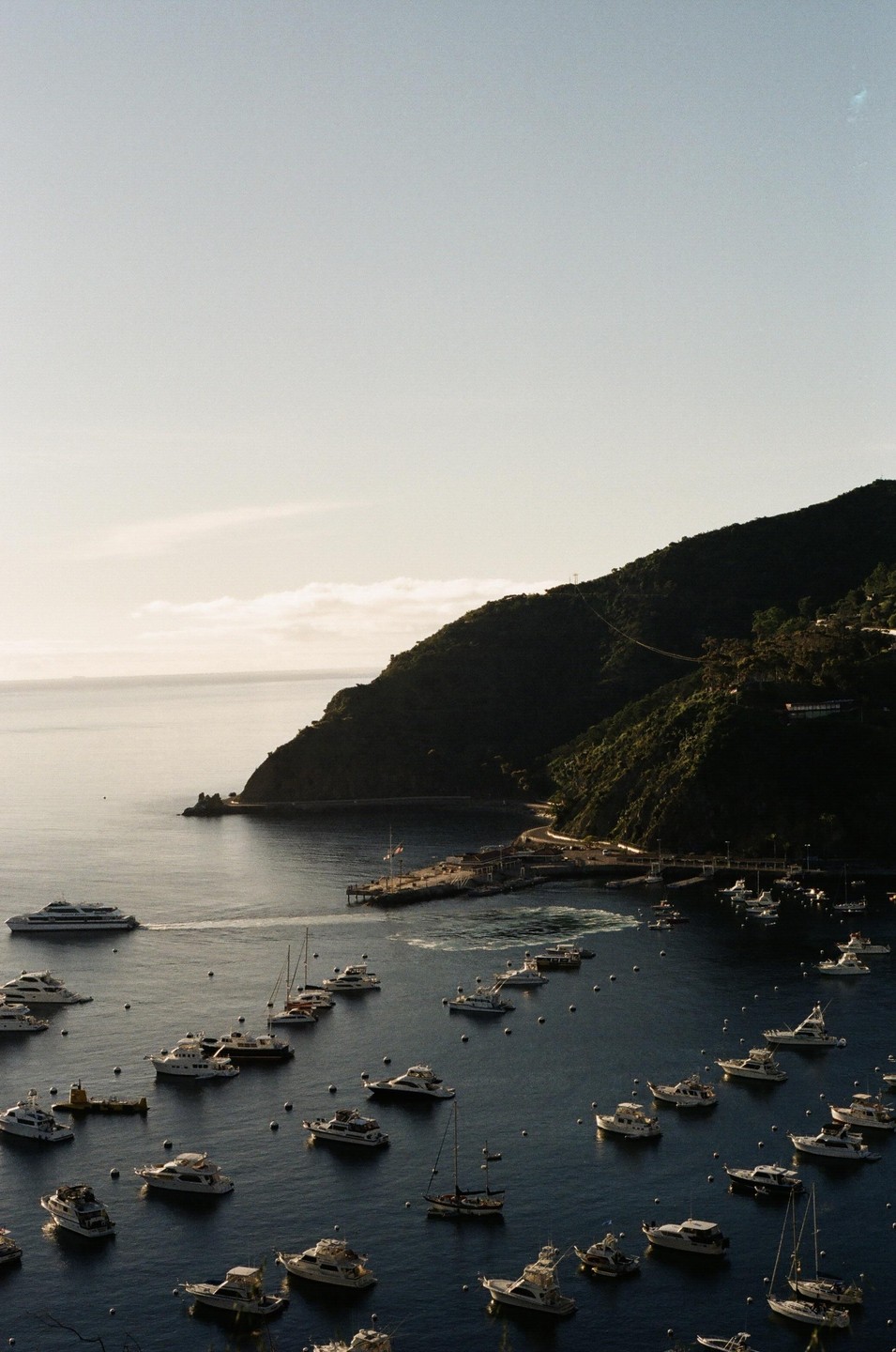 A bay filled with numerous boats is nestled beside a lush green mountain under a bright sky.