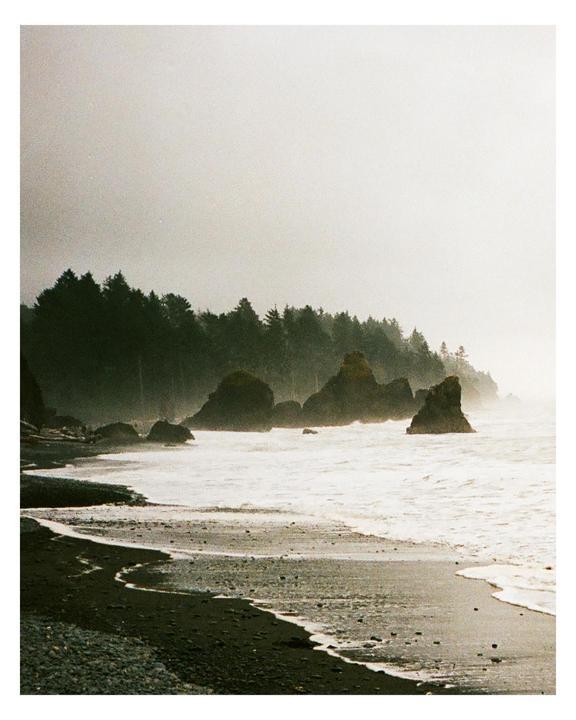 A foggy beach with dark sand and rocks in the water is visible, with a forest in the background.