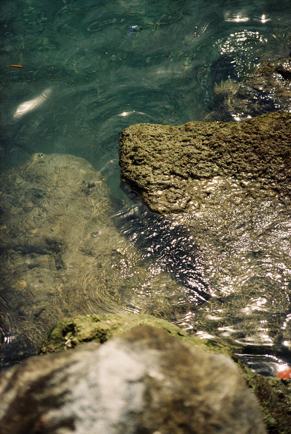 Sunlight reflects on the surface of clear water with rocks visible below.