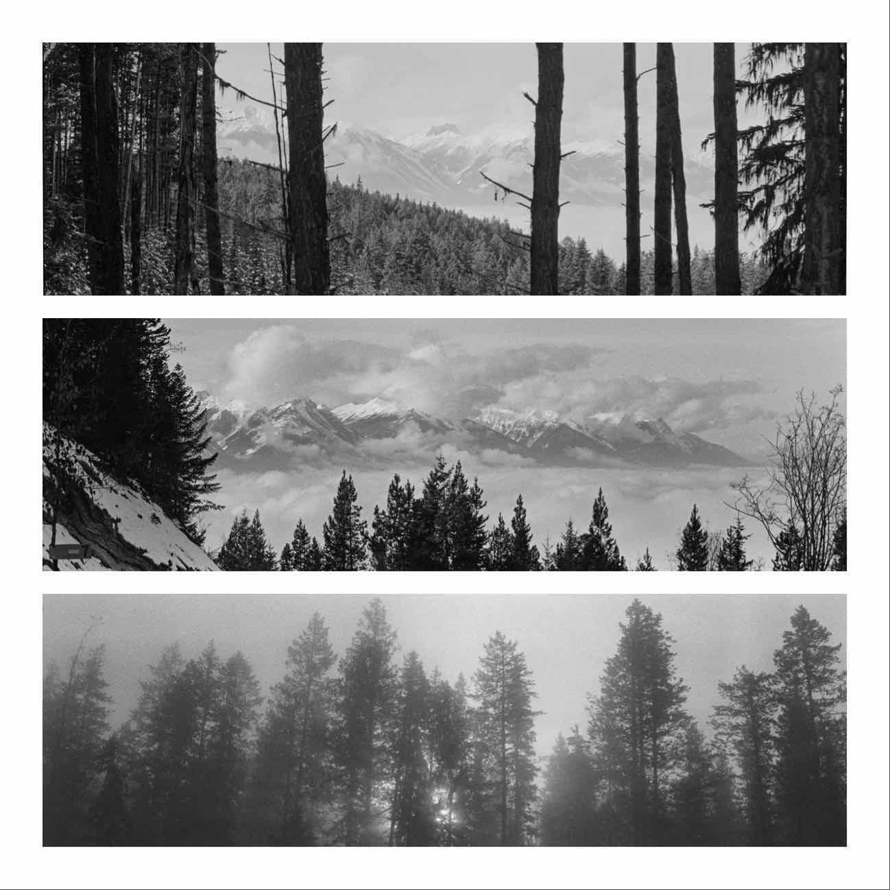 Three panoramic black and white images show a forest and mountains.