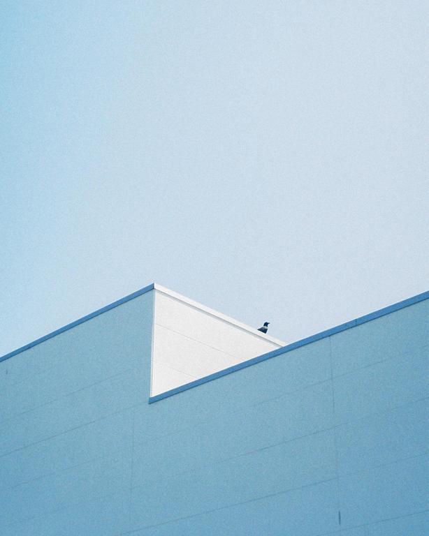 A bird sits on the roof of a blue and white building against a clear sky.