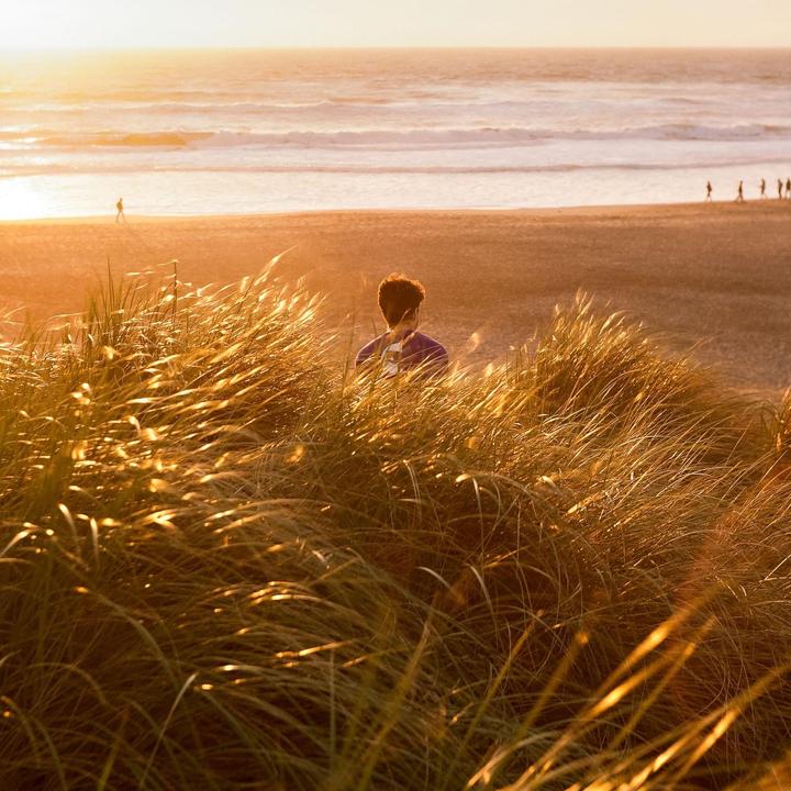 A person sits in tall grass looking out at the ocean at sunset.