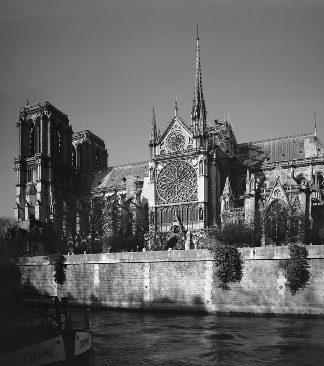 Notre Dame Cathedral is visible from across the water, with a boat named Daphne in the foreground.