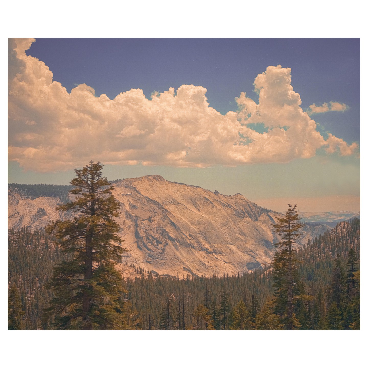 A large mountain cliffside is visible behind a forest of pine trees under a cloudy sky.