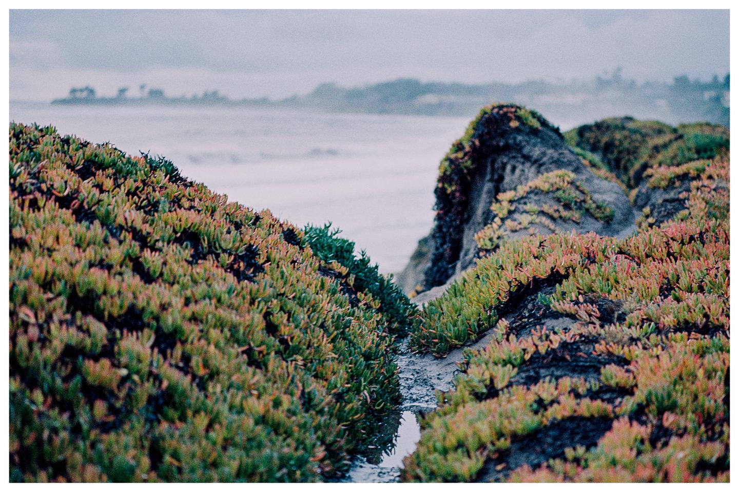 A narrow channel of water runs between two rocky, plant-covered mounds with the ocean and a distant coastline in the background.