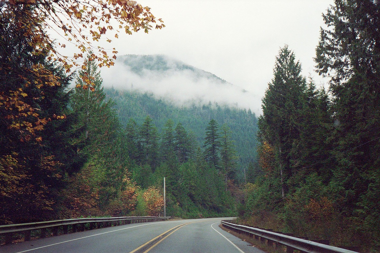 A winding road with guardrails passes through a forest with a fog-covered mountain in the background.