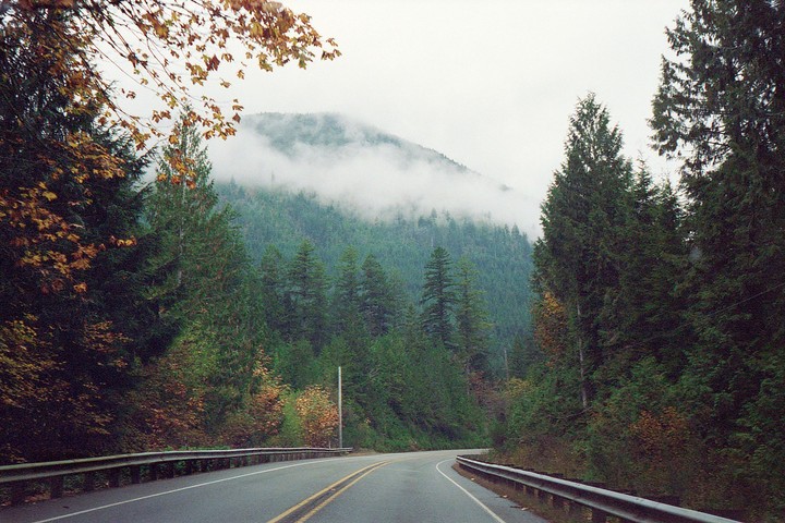 A winding road with guardrails passes through a forest with a fog-covered mountain in the background.