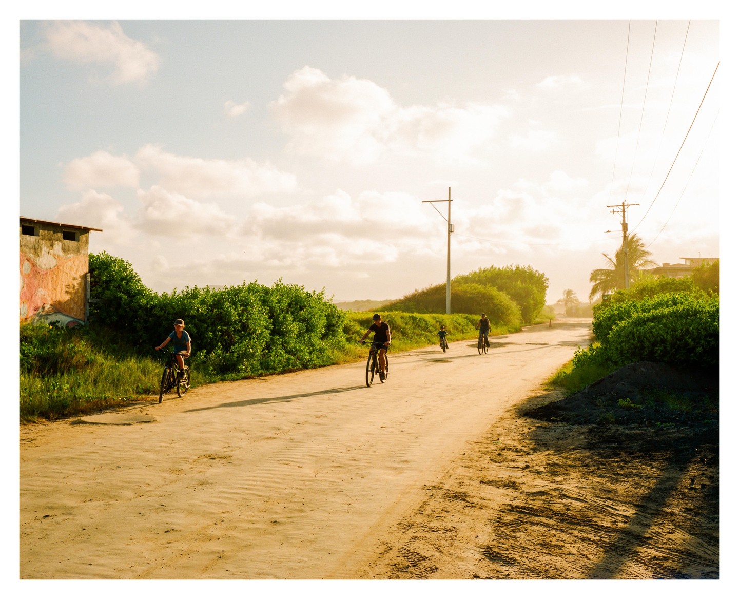 Four people ride bicycles on a dirt road lined with green bushes under a bright sky.