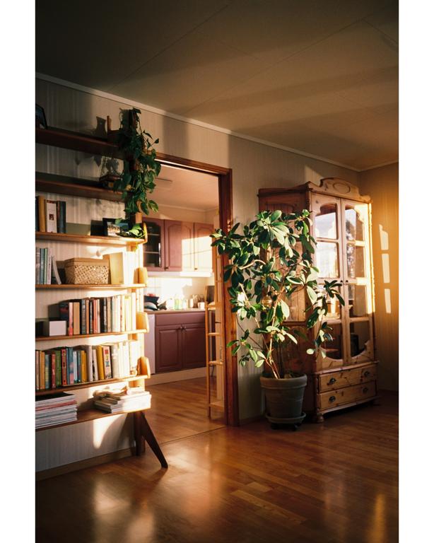 Sunlight streams into a living room with a bookshelf, a houseplant, and a cabinet, with a kitchen visible through a doorway.