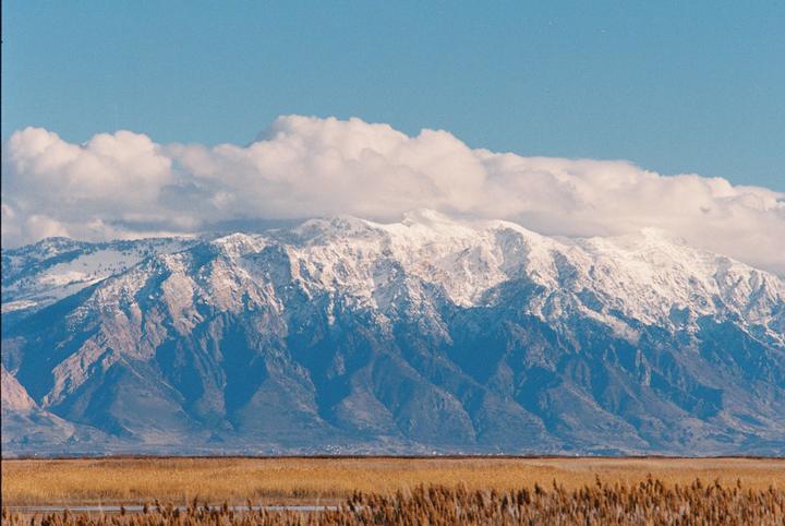 A vast field of tall, dry grass sits in the foreground of a large, snow-capped mountain range under a blue sky with white clouds.