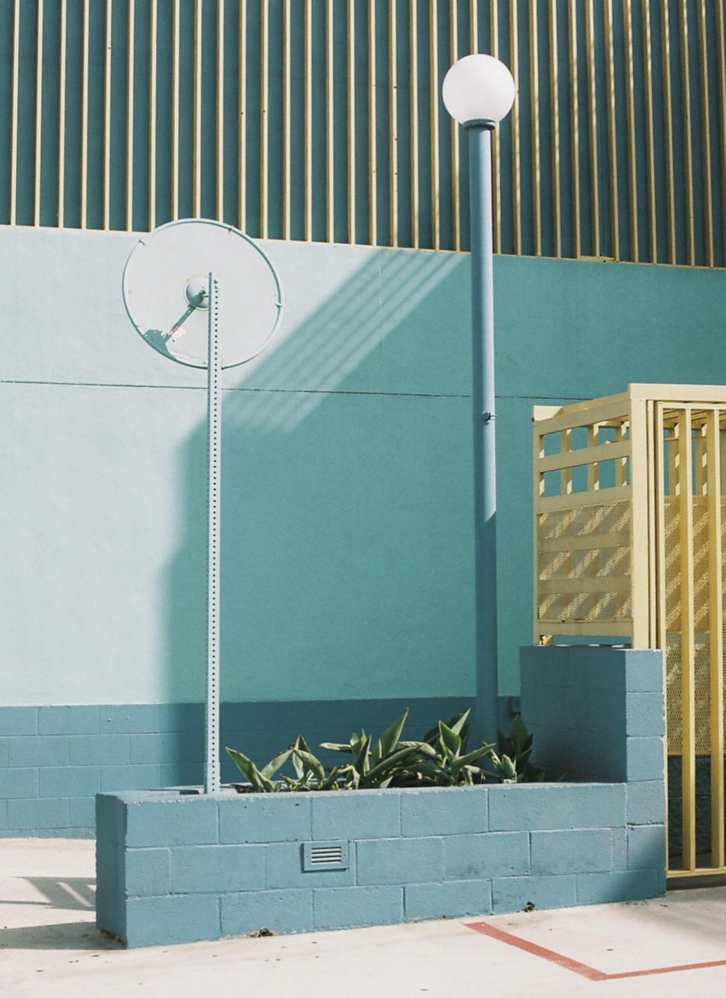 A blue wall with a yellow grate and a street light is shown with a plant in a planter.