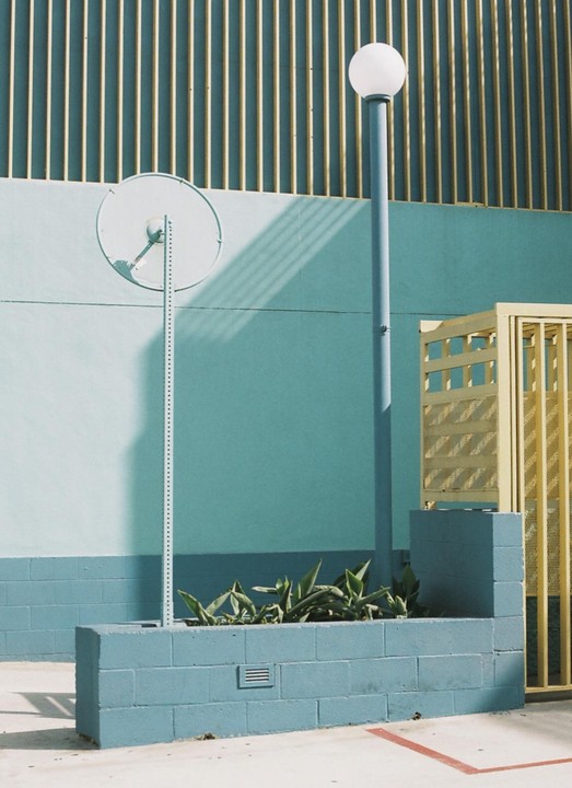 A blue wall with a yellow grate and a street light is shown with a plant in a planter.