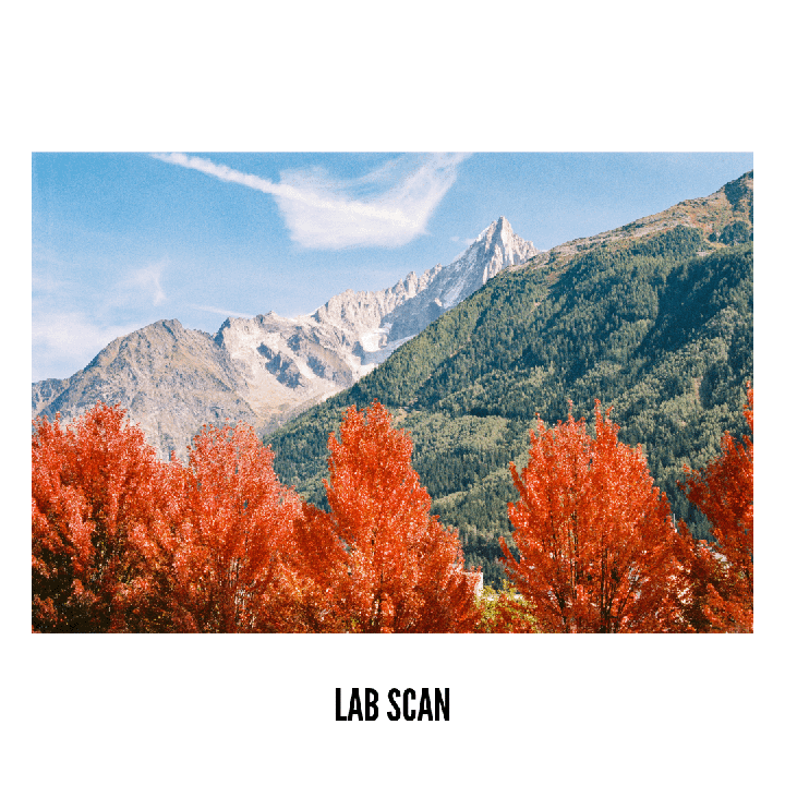 Bright orange autumn trees stand in front of a mountain range with a clear blue sky.