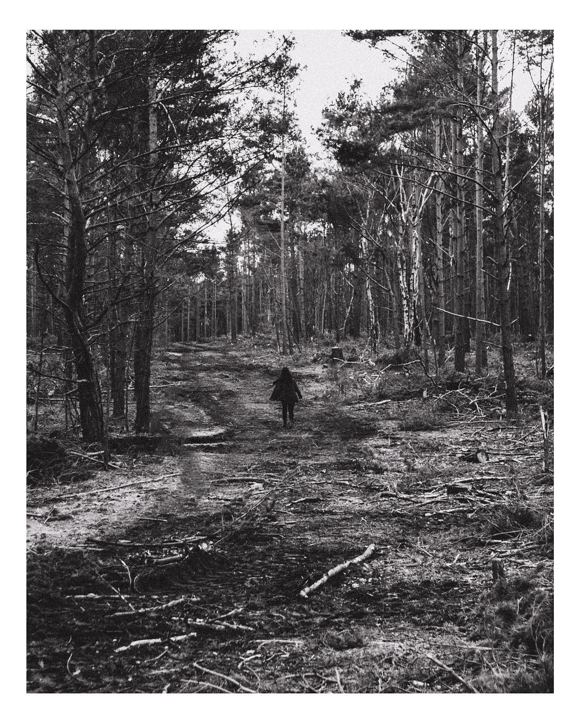 A person walks away down a path through a forest of tall trees with branches and debris on the ground.