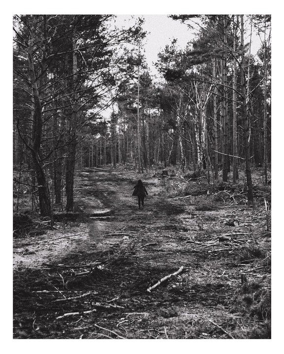A person walks away down a path through a forest of tall trees with branches and debris on the ground.