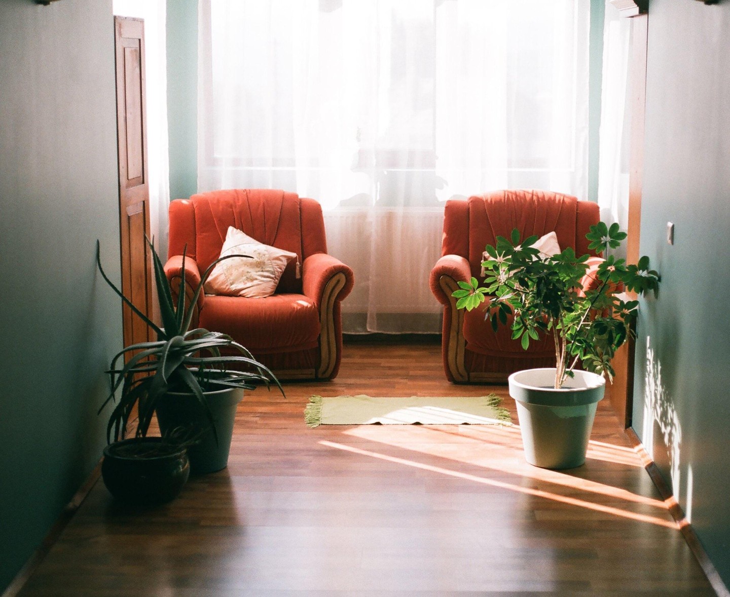 Two red armchairs with pillows sit in a room with plants and sunlight streaming through a window.