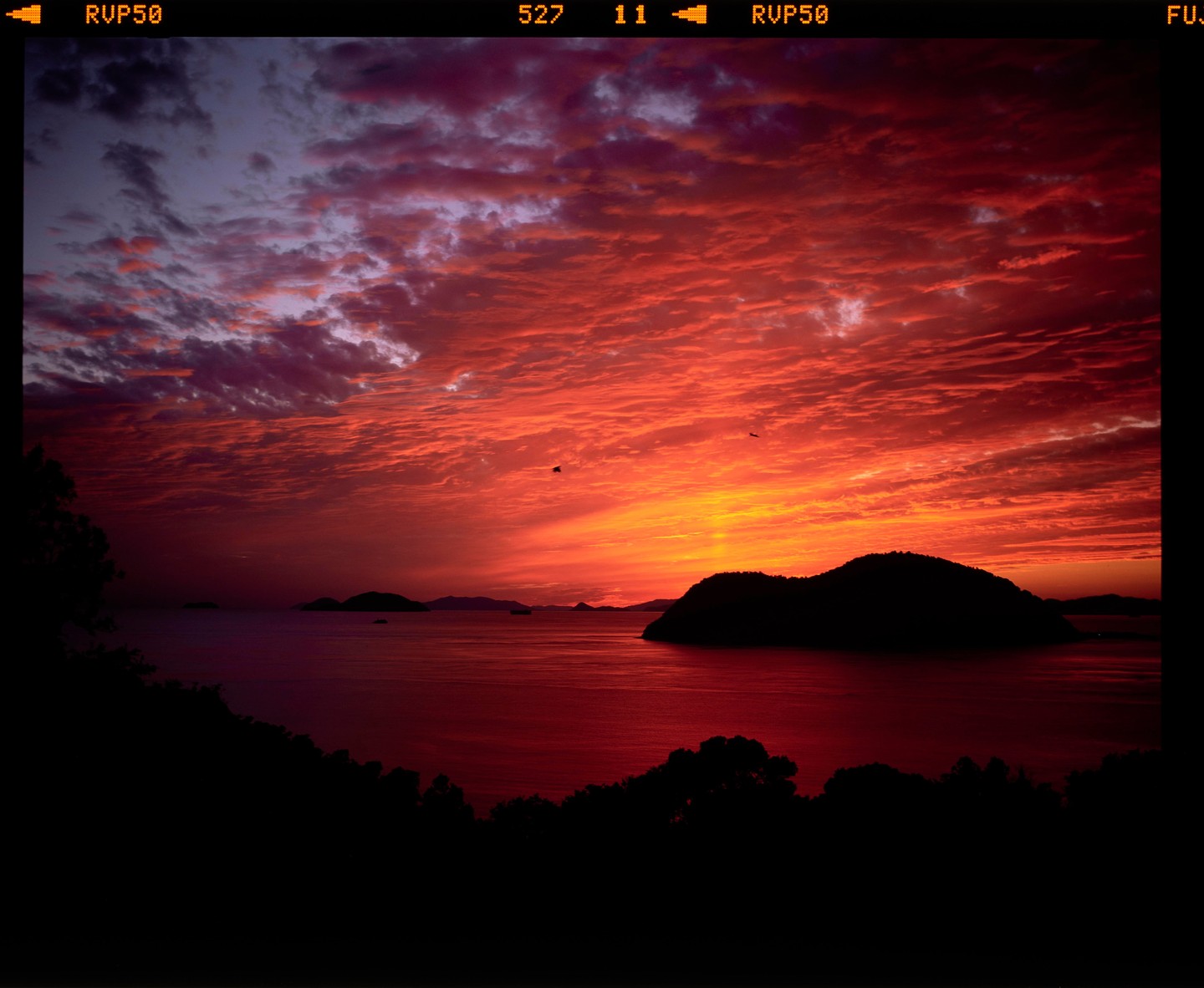 A vibrant red and orange sunset illuminates the sky over a body of water with silhouetted islands and trees.