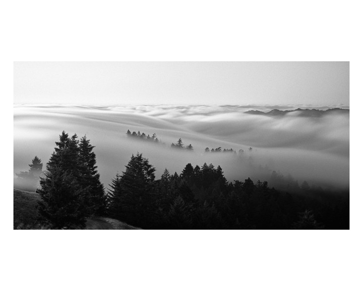 A dense layer of fog covers a valley with trees and hills visible above and through the fog.