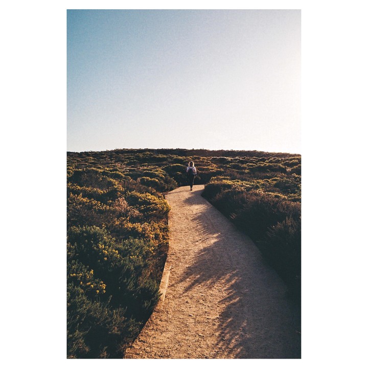 A person walks away on a dirt path surrounded by green and yellow bushes under a clear sky.