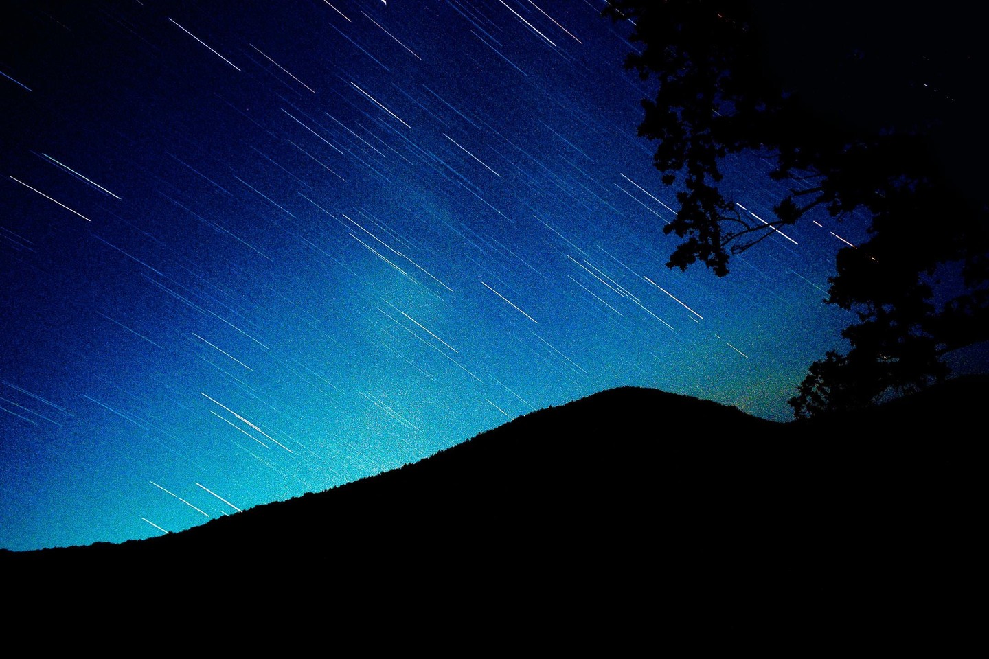 A long exposure photograph captures star trails across a dark blue night sky above a silhouetted mountain and tree.