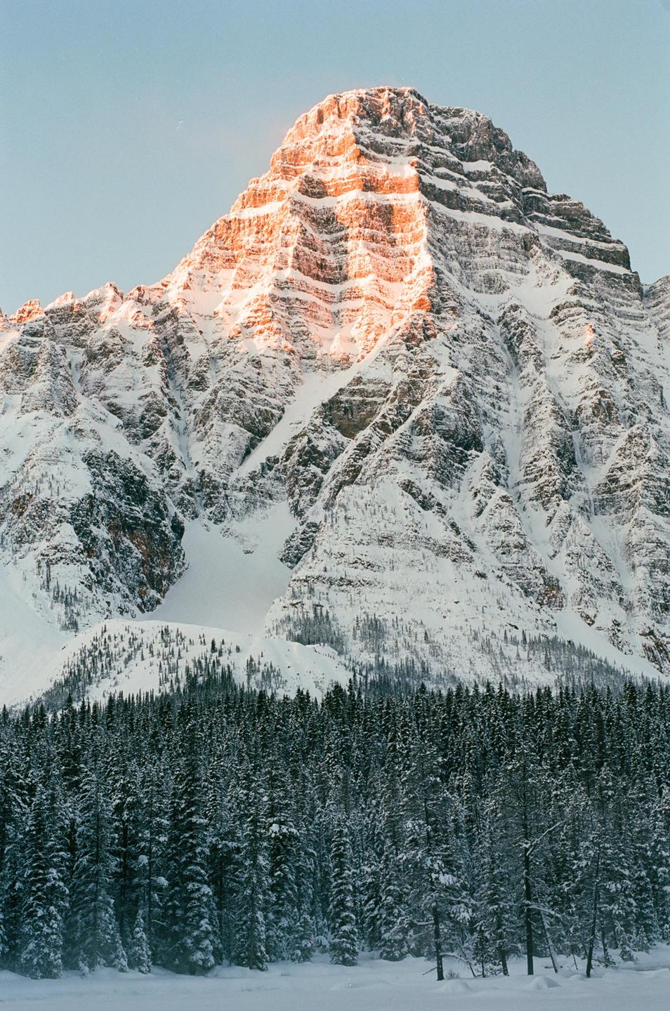 A snow-covered mountain peak is illuminated by the golden hour sun above a dense forest of pine trees.
