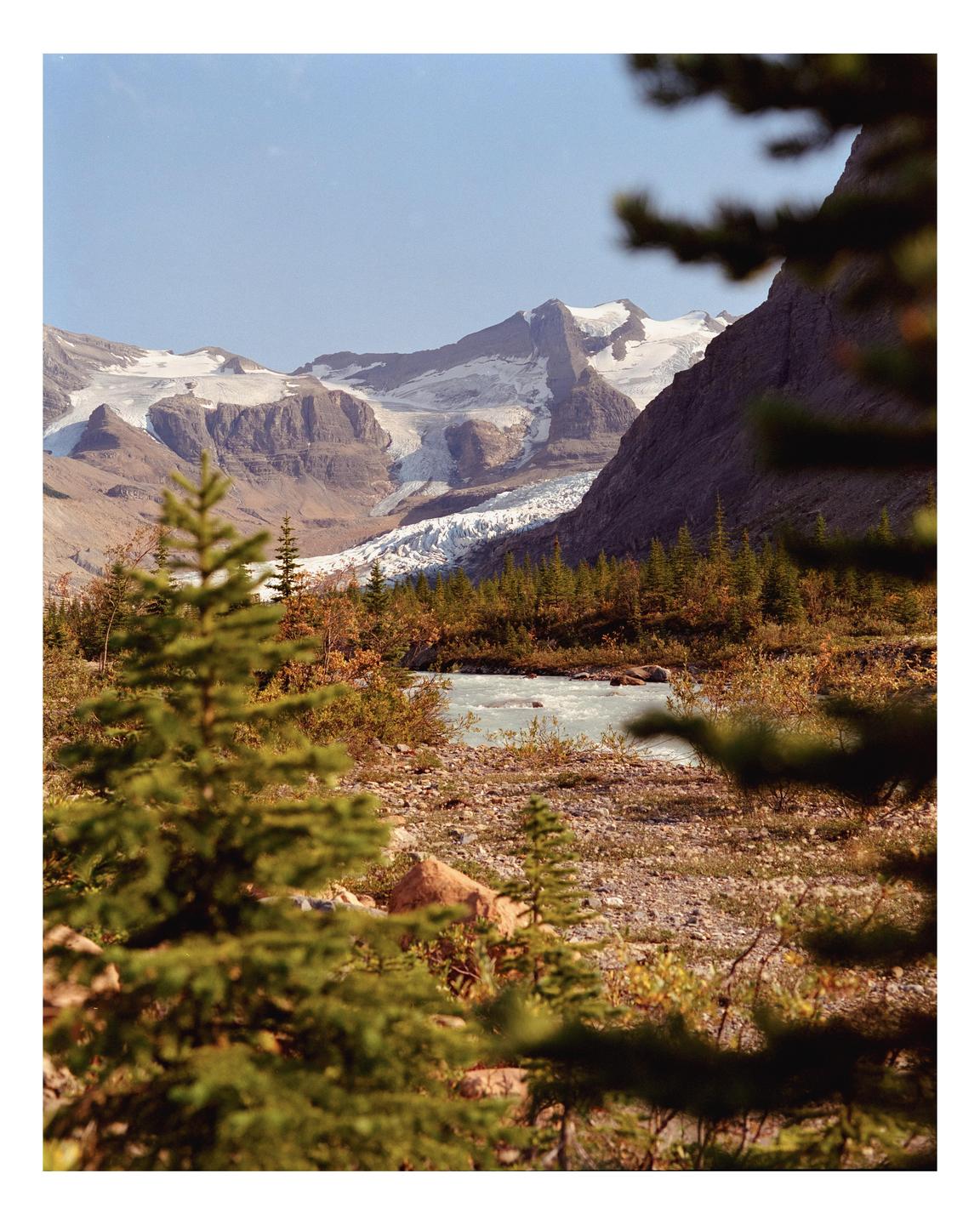 A river flows through a valley with evergreen trees and mountains topped with snow and glaciers.