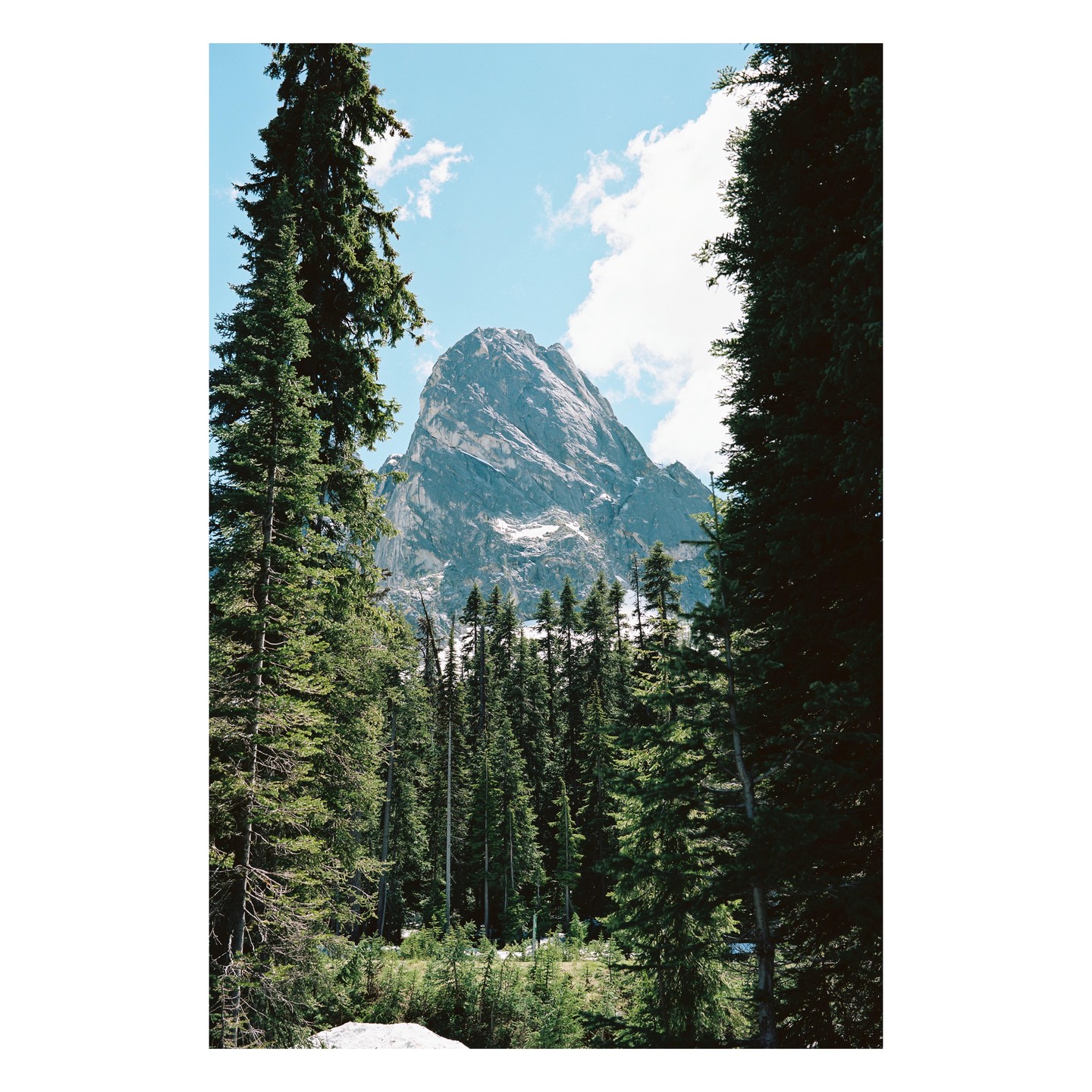 A large mountain peak is visible through a clearing in a dense forest.