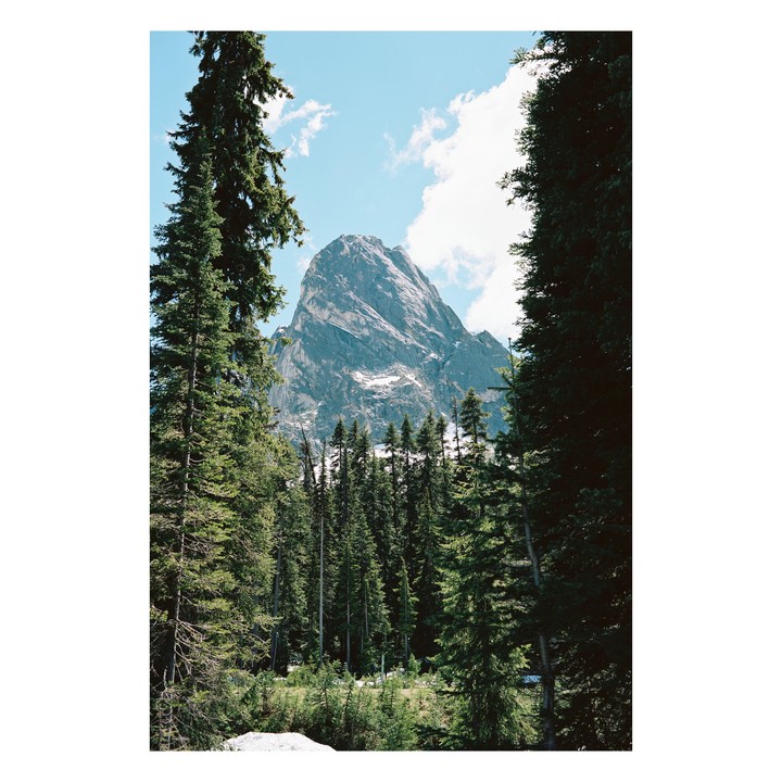 A large mountain peak is visible through a clearing in a dense forest.