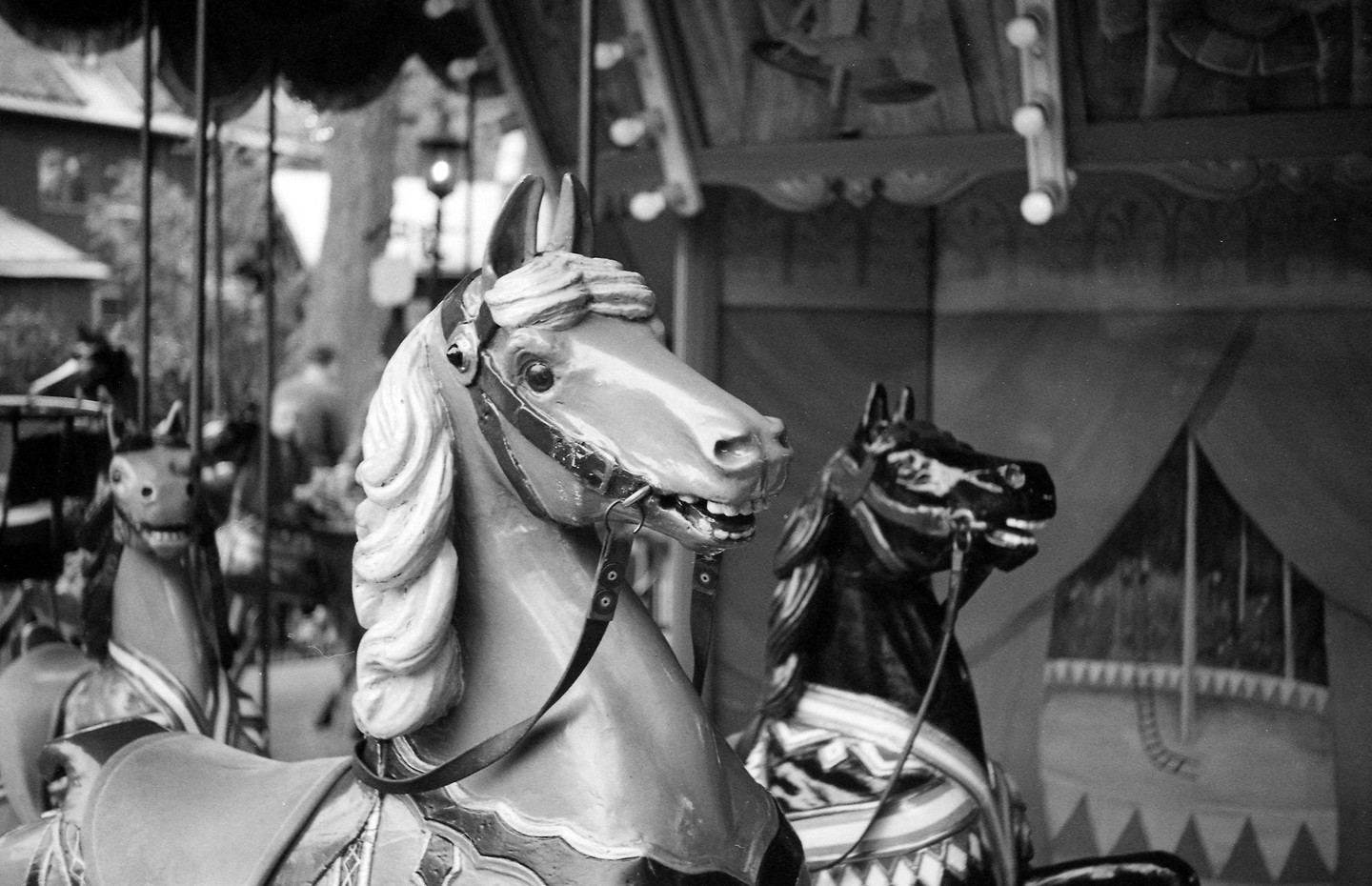 A carousel horse with a bridle and saddle is in the foreground, with other carousel horses and a person in the background.