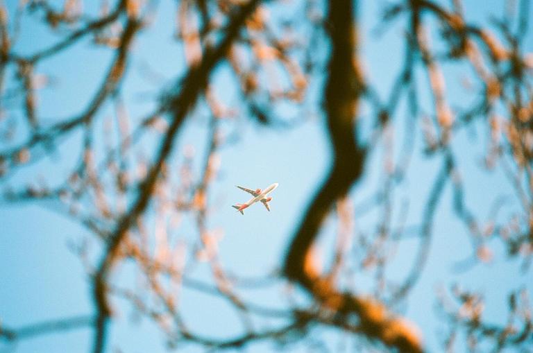 A white airplane with red markings flies through a clear blue sky, framed by blurred tree branches.
