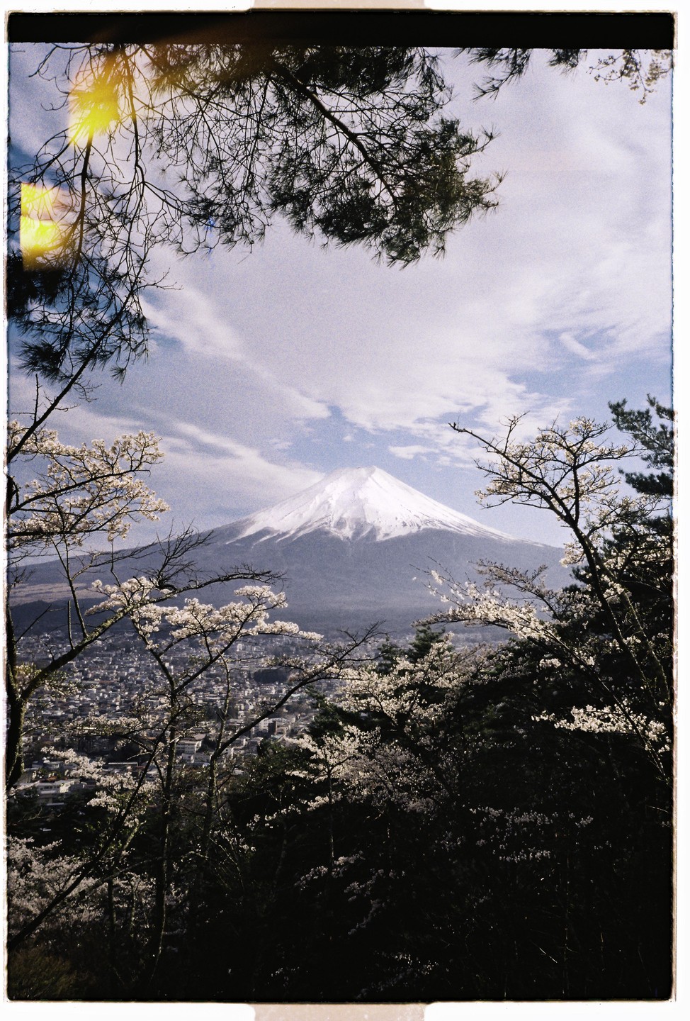 Mount Fuji is visible in the distance, framed by blossoming trees and a town in the valley below.