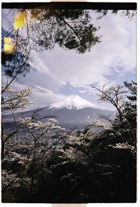 Mount Fuji is visible in the distance, framed by blossoming trees and a town in the valley below.