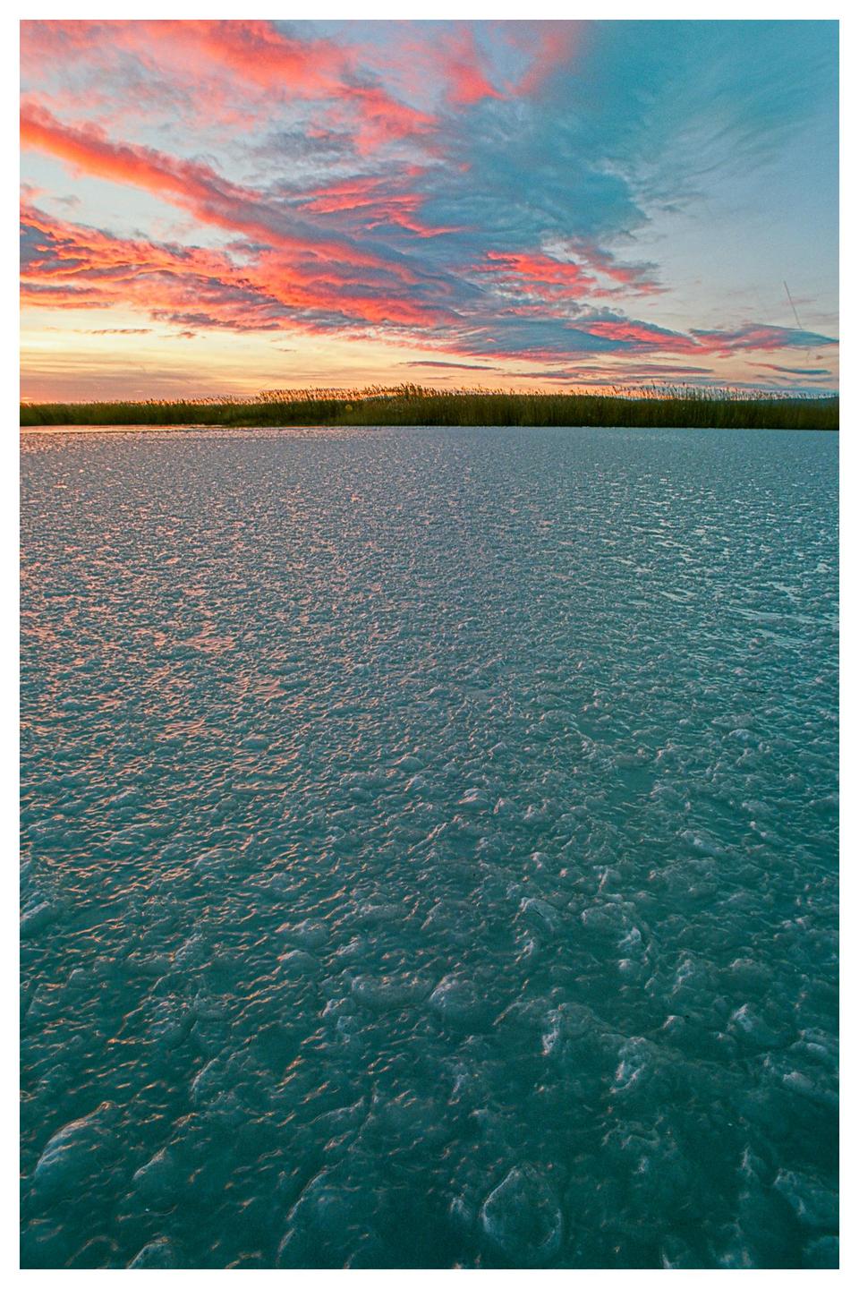A frozen lake with a line of reeds in the distance under a colorful sunset sky.