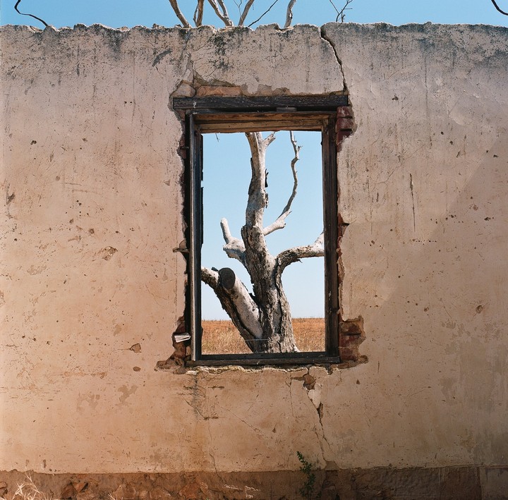 A dead tree is framed by a window in a crumbling wall, with a field and clear sky visible in the background.