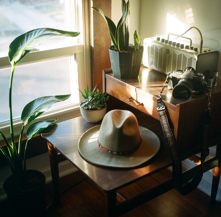 Sunlight illuminates a hat, potted plants, and camera gear on a wooden table next to a window.