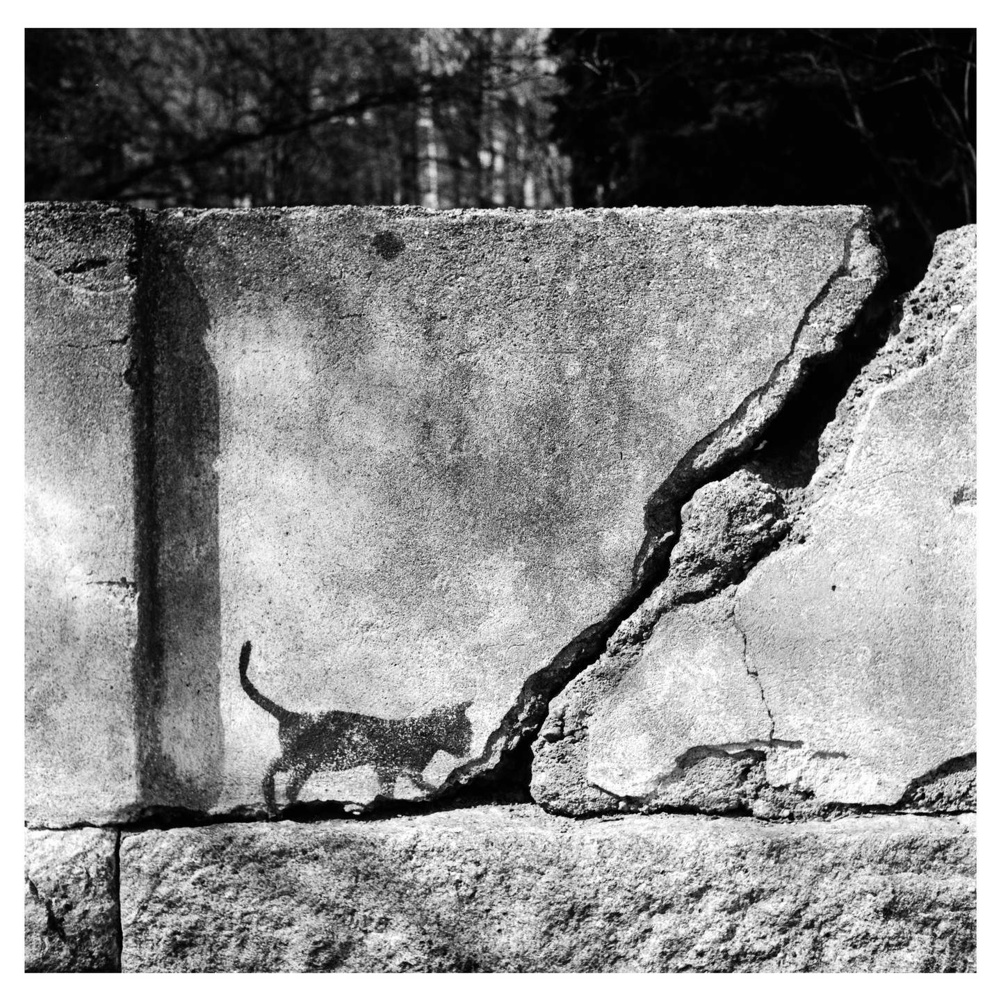 A cat is painted on a cracked concrete wall.