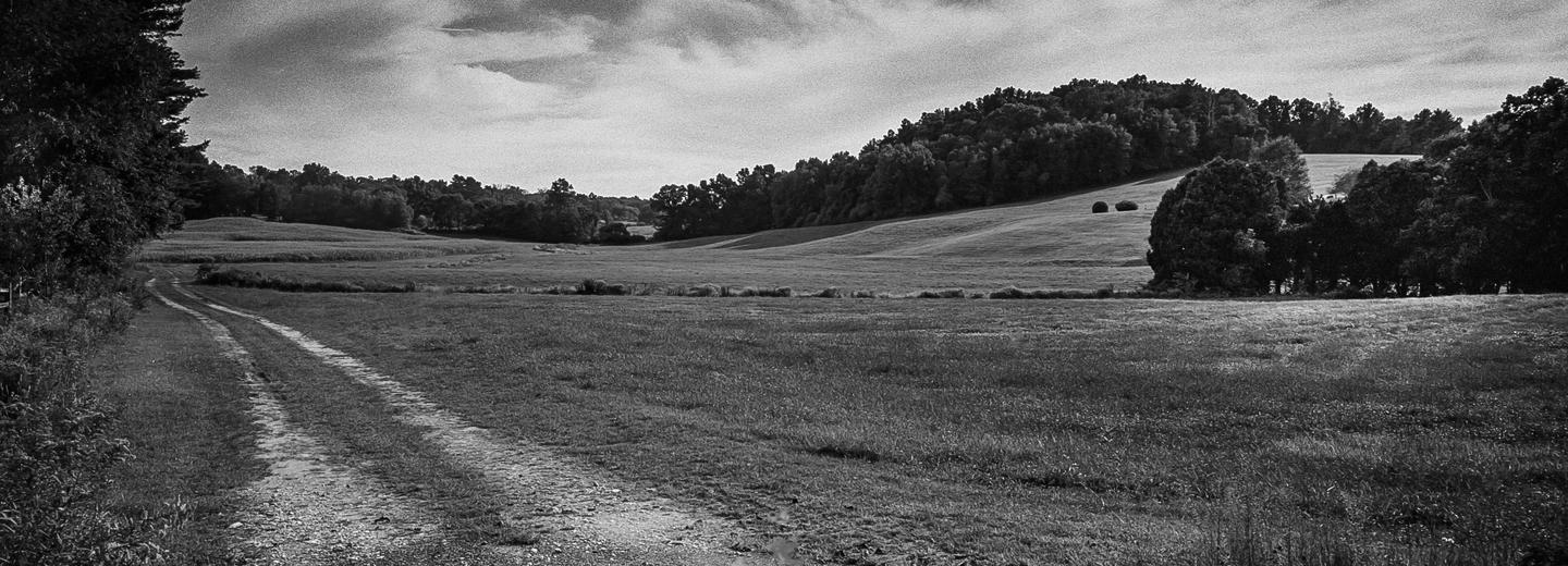 A dirt road curves through a wide, grassy field with rolling hills and trees in the distance under a cloudy sky.
