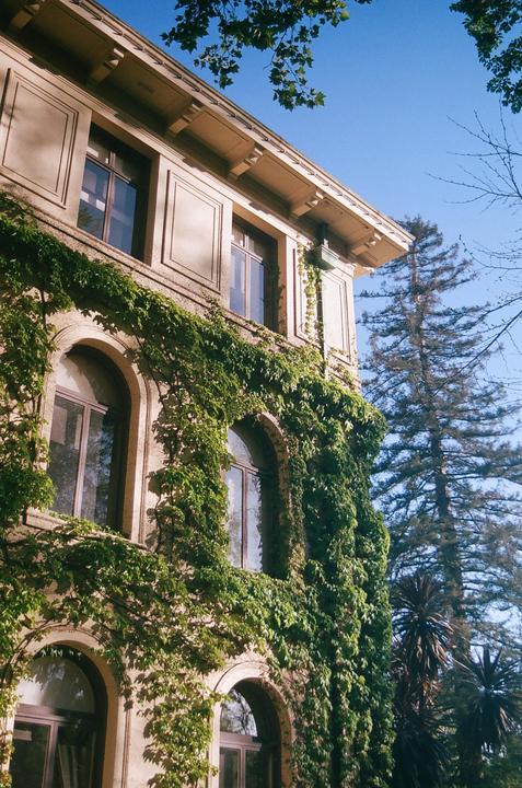 A building covered in ivy with arched windows is shown from a low angle against a clear blue sky.