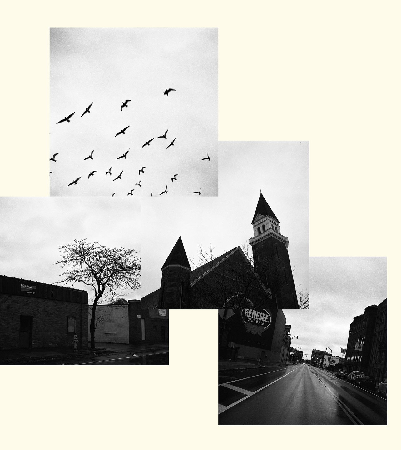 A collage of black and white photographs shows birds flying in a cloudy sky, a bare tree on a street, a church with a tall steeple, and a wet street with buildings lining it.