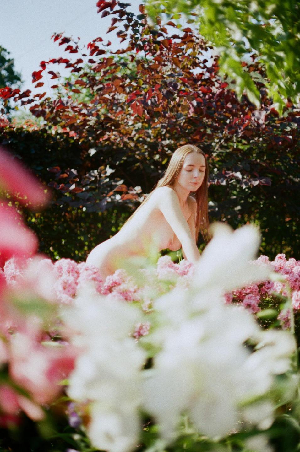 A woman with long hair is kneeling among pink flowers with green and red foliage in the background.